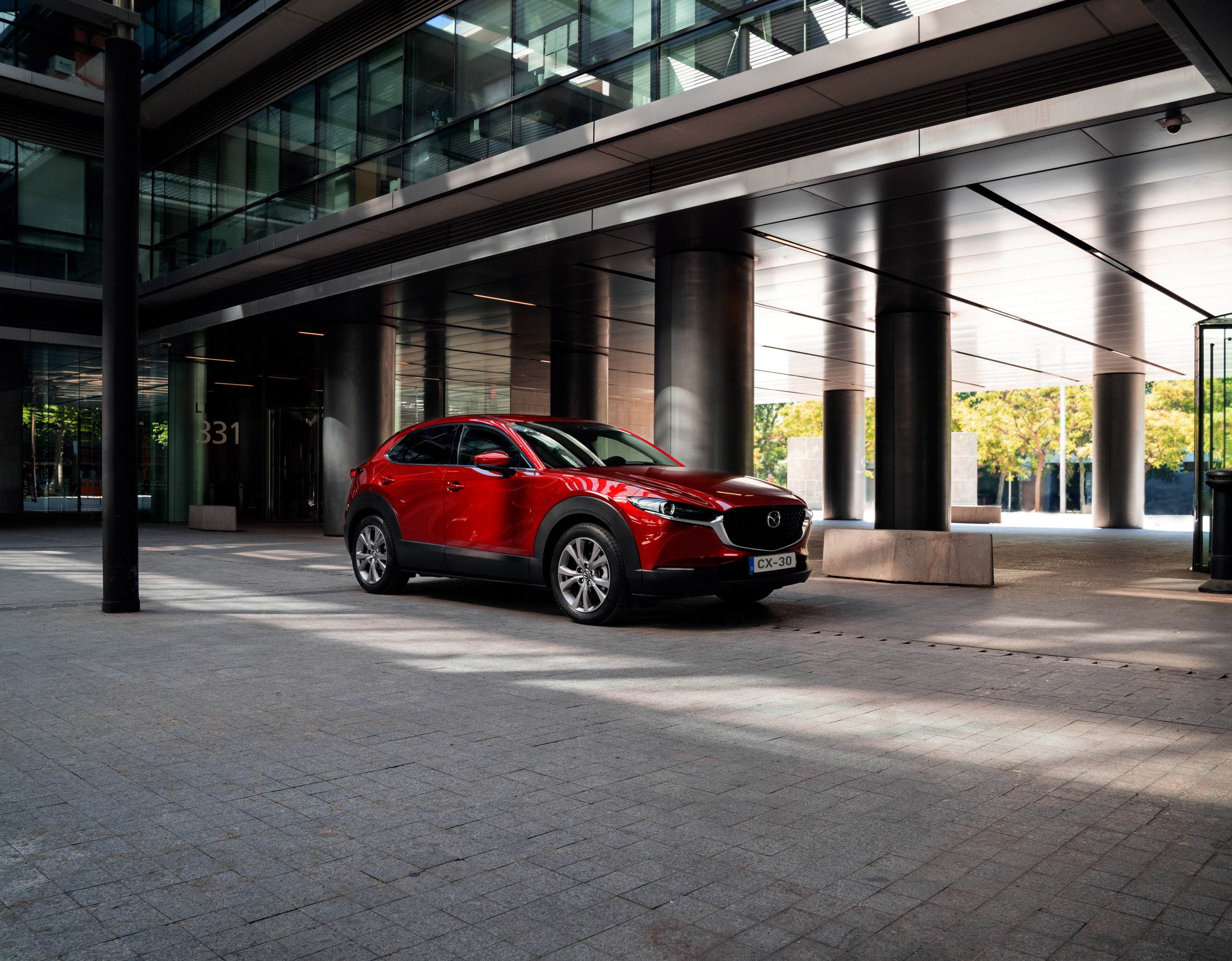 CX 30 Gallery 1
