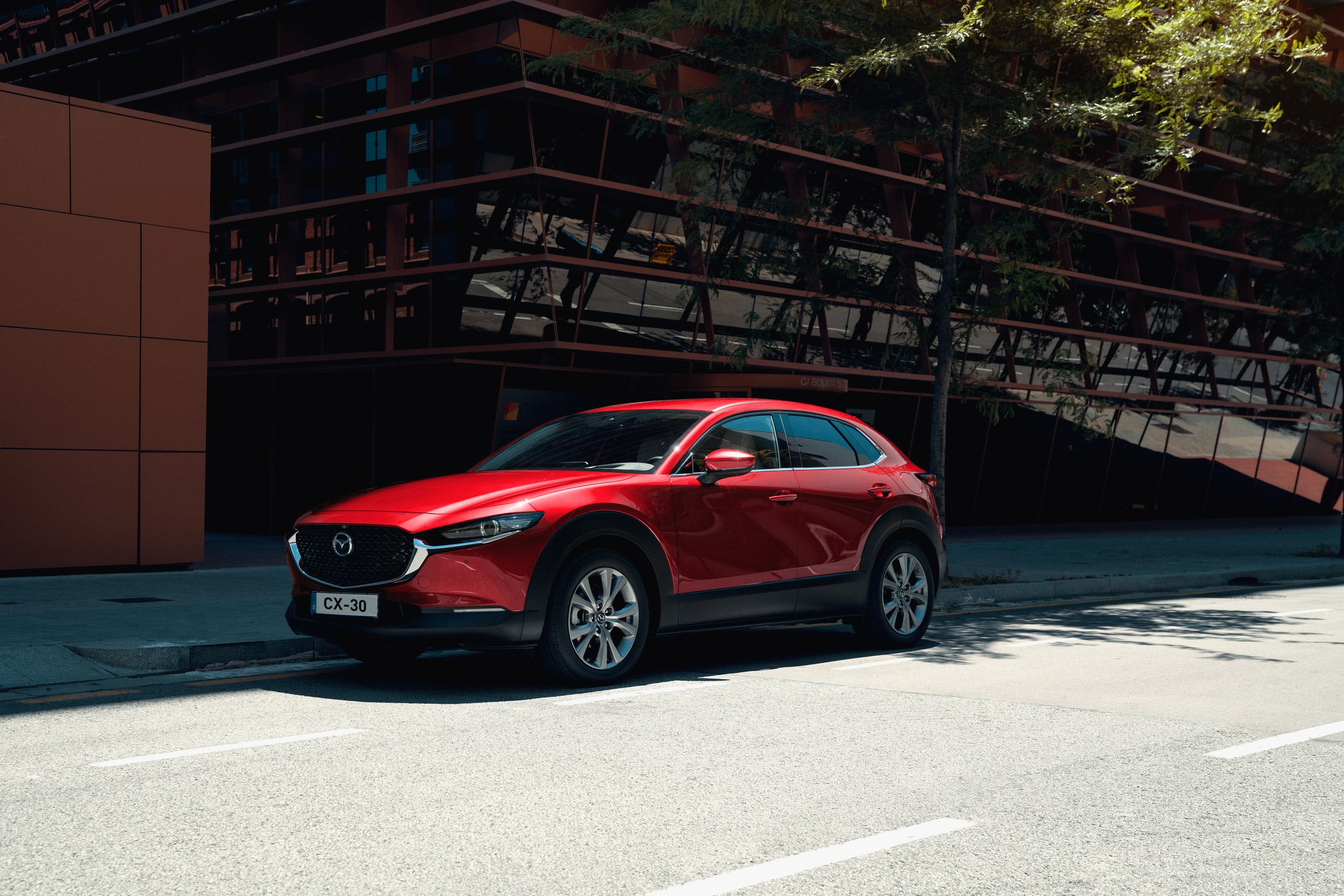 CX 30 Gallery 2