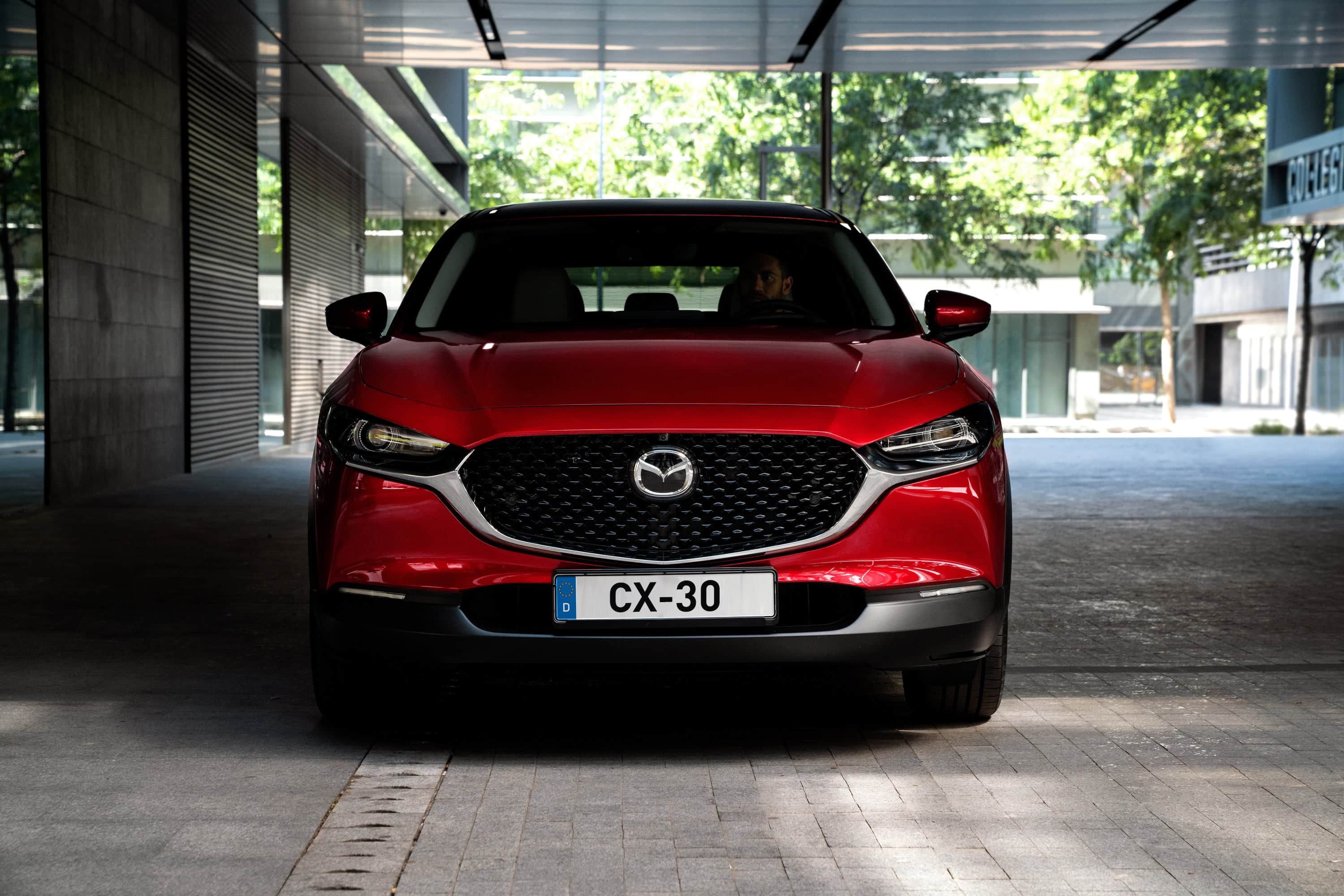 CX 30 Gallery 4